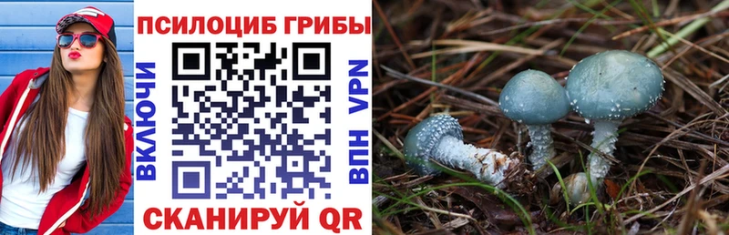 Псилоцибиновые грибы Psilocybe  дарнет шоп  это Telegram  Кирово-Чепецк 