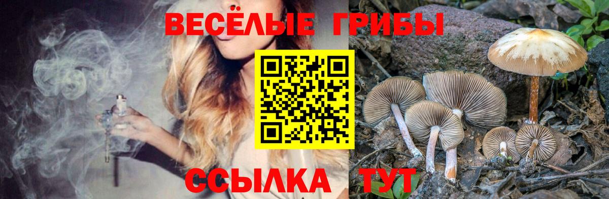 Псилоцибиновые грибы Magic Shrooms Кирово-Чепецк