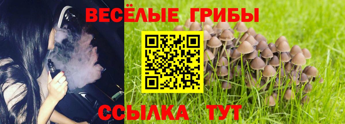 купить   Кирово-Чепецк  Псилоцибиновые грибы ЛСД 