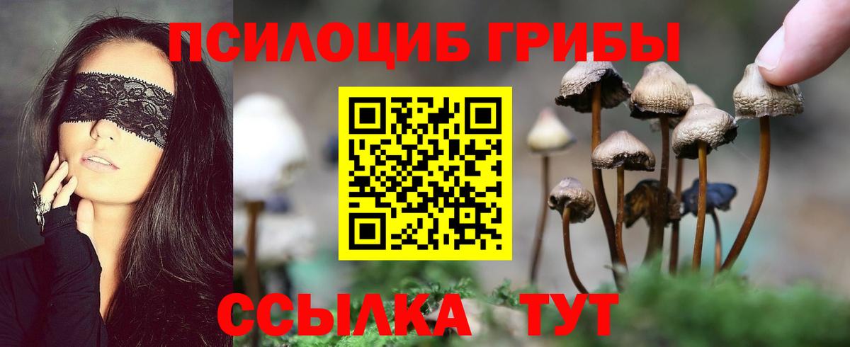 Псилоцибиновые грибы MAGIC MUSHROOMS  цены   Кирово-Чепецк  Вход с VPN 